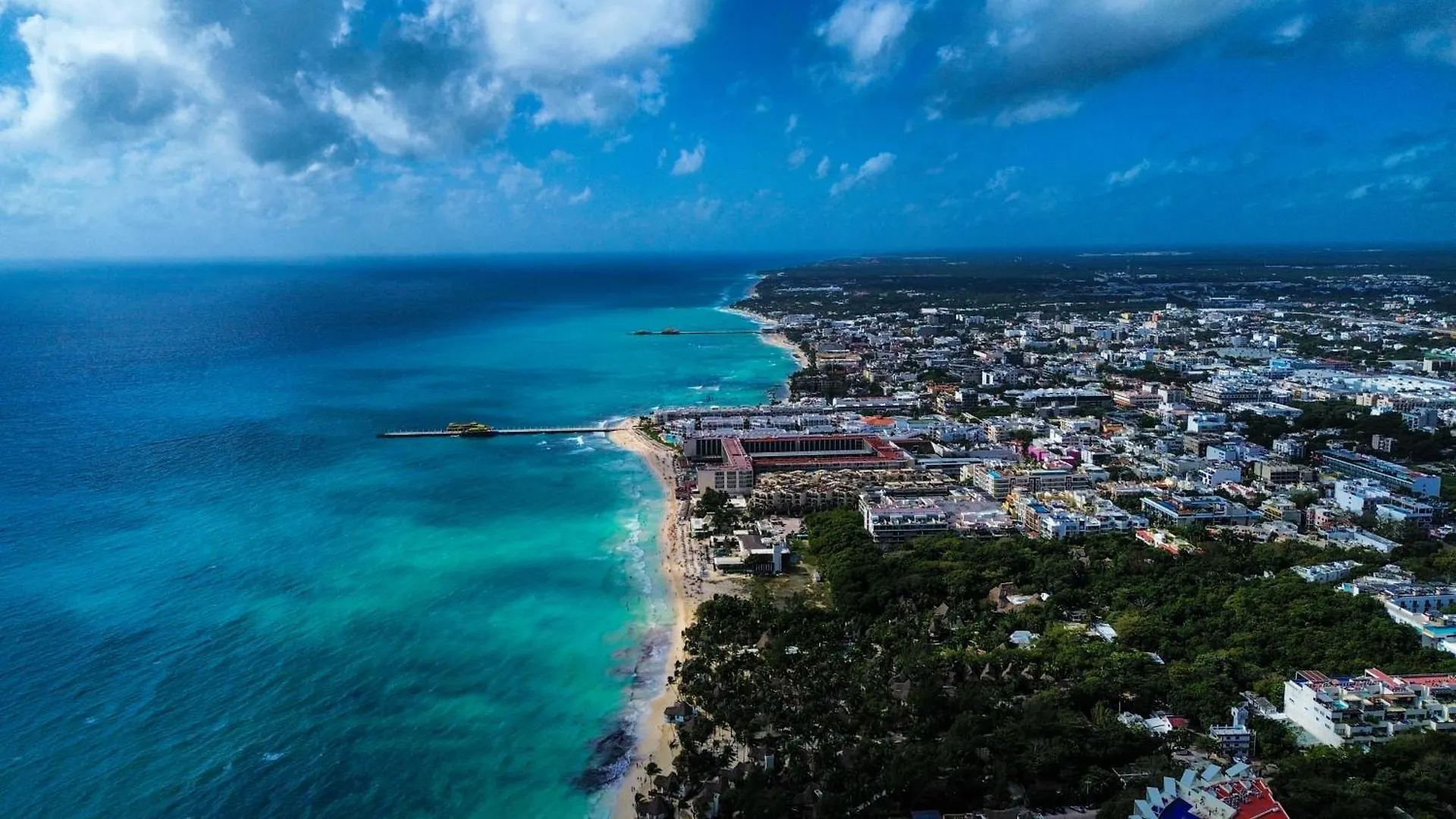 Moonligth 5Ta Av Apartment Playa del Carmen
